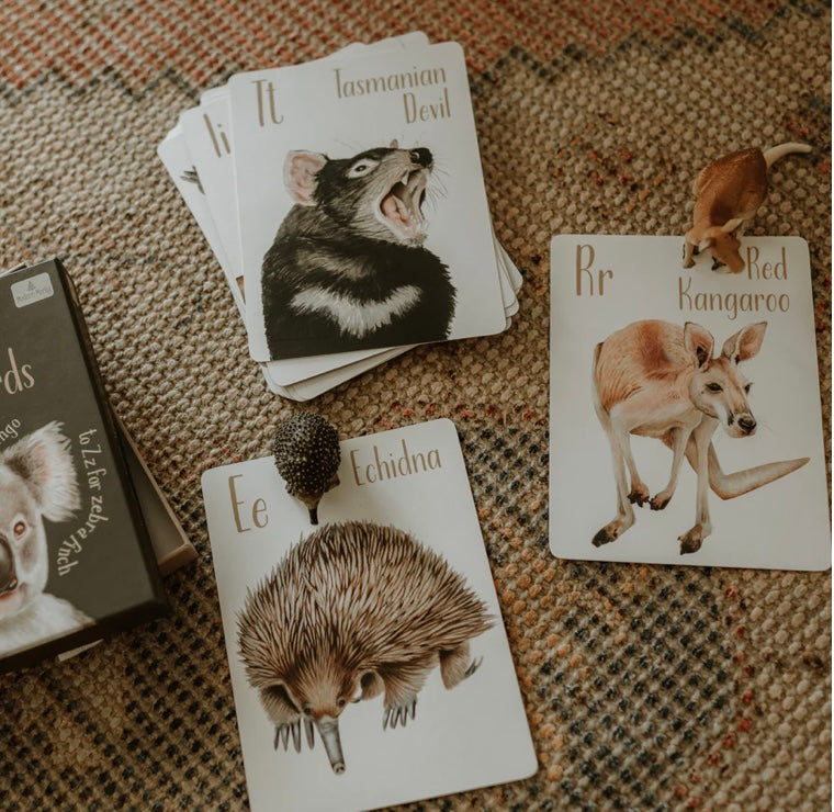 Animal Flash Cards