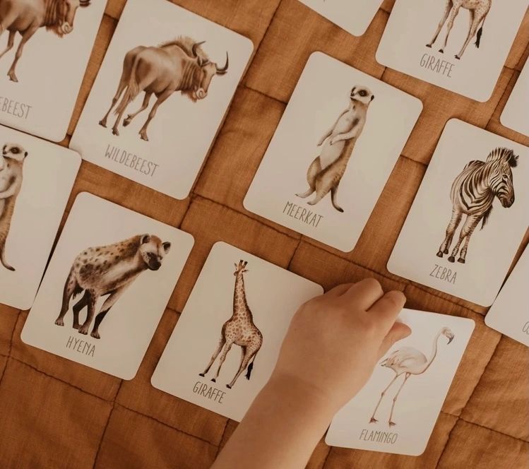 AFRICA MEMORY CARD GAME