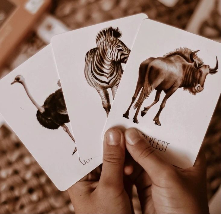 AFRICA SNAP & GO FISH