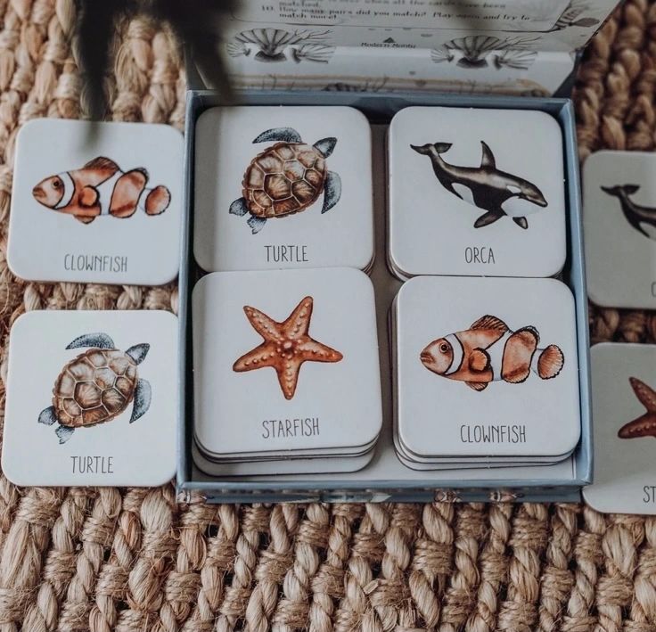 Ocean Memory Card Game
